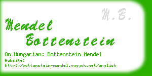 mendel bottenstein business card